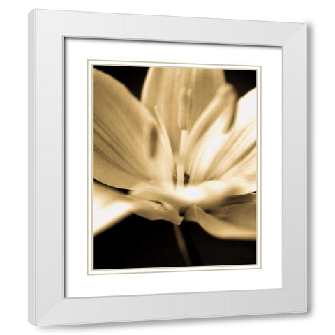 Radiance III White Modern Wood Framed Art Print with Double Matting by Ryan, Cinzia