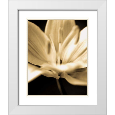 Radiance III White Modern Wood Framed Art Print with Double Matting by Ryan, Cinzia