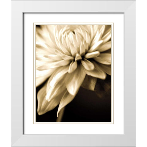 Radiance IV White Modern Wood Framed Art Print with Double Matting by Ryan, Cinzia