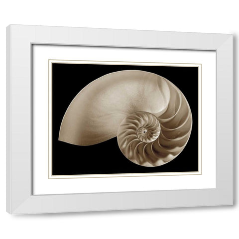 Ocean Keepsake II White Modern Wood Framed Art Print with Double Matting by Britt, Charles