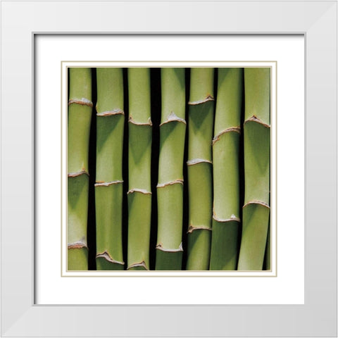 Bamboo Lengths White Modern Wood Framed Art Print with Double Matting by Maihara/Watt, Jeff/Boyce