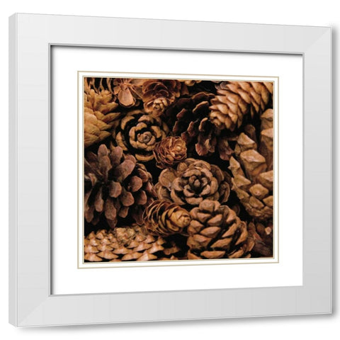 Cone Harvest White Modern Wood Framed Art Print with Double Matting by Maihara/Watt, Jeff/Boyce