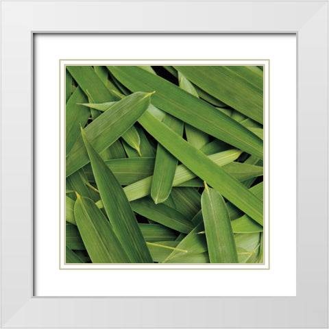 Scattered Leaves White Modern Wood Framed Art Print with Double Matting by Maihara/Watt, Jeff/Boyce