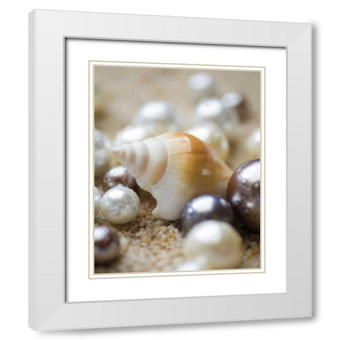 Sea Jewels I White Modern Wood Framed Art Print with Double Matting by Maihara/Watt, Jeff/Boyce