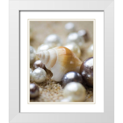 Sea Jewels I White Modern Wood Framed Art Print with Double Matting by Maihara/Watt, Jeff/Boyce