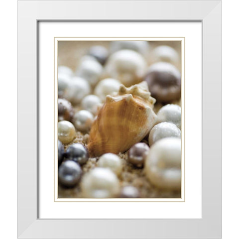 Sea Jewels III White Modern Wood Framed Art Print with Double Matting by Maihara/Watt, Jeff/Boyce