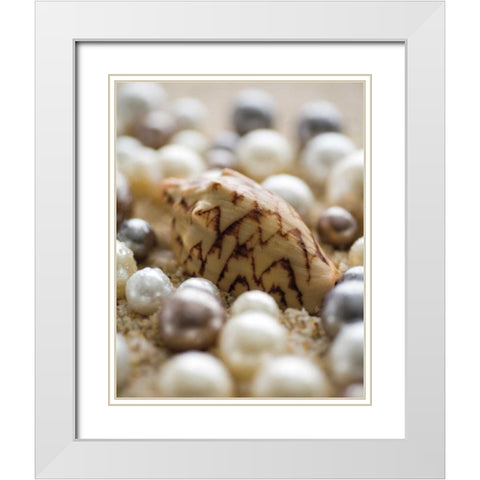 Sea Jewels IV White Modern Wood Framed Art Print with Double Matting by Maihara/Watt, Jeff/Boyce