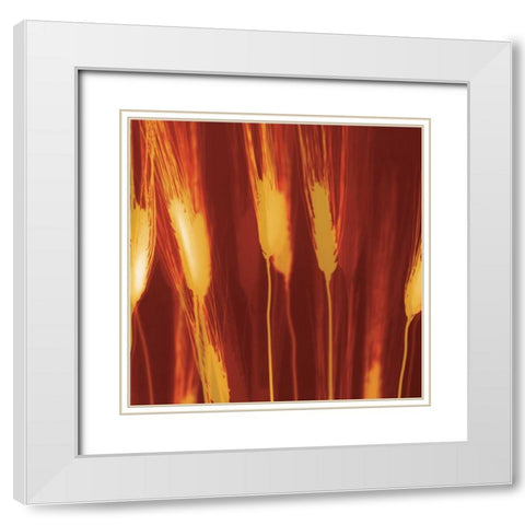 Harvest White Modern Wood Framed Art Print with Double Matting by Jantzer, Ethan