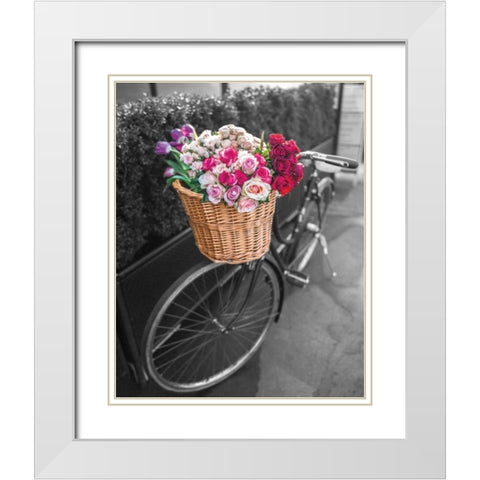 Basket of Flowers I White Modern Wood Framed Art Print with Double Matting by Frank, Assaf