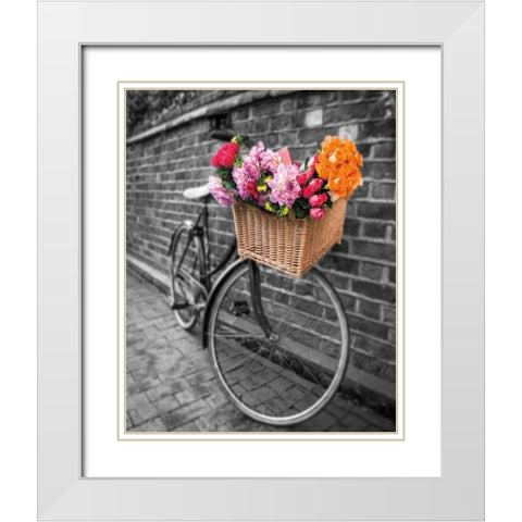 Basket of Flowers II White Modern Wood Framed Art Print with Double Matting by Frank, Assaf