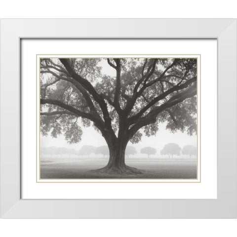 Silhouette Oak White Modern Wood Framed Art Print with Double Matting by Guion, William