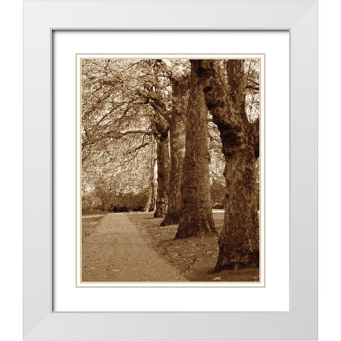 Autumn Stroll I White Modern Wood Framed Art Print with Double Matting by Maihara/Watt, Jeff/Boyce