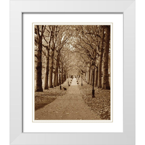 Autumn Stroll II White Modern Wood Framed Art Print with Double Matting by Maihara/Watt, Jeff/Boyce