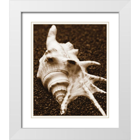 Sea Gallery I White Modern Wood Framed Art Print with Double Matting by Maihara/Watt, Jeff/Boyce