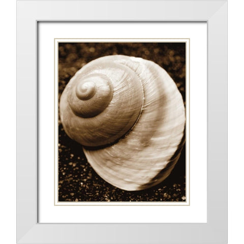 Sea Gallery II White Modern Wood Framed Art Print with Double Matting by Maihara/Watt, Jeff/Boyce