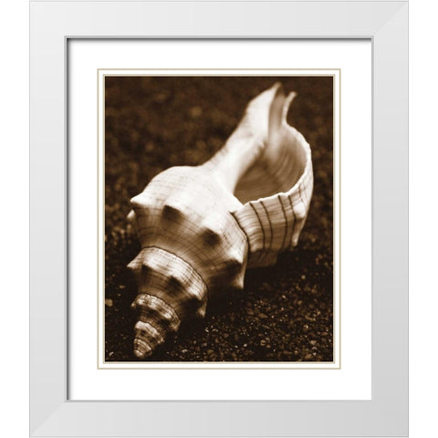Sea Gallery III White Modern Wood Framed Art Print with Double Matting by Maihara/Watt, Jeff/Boyce