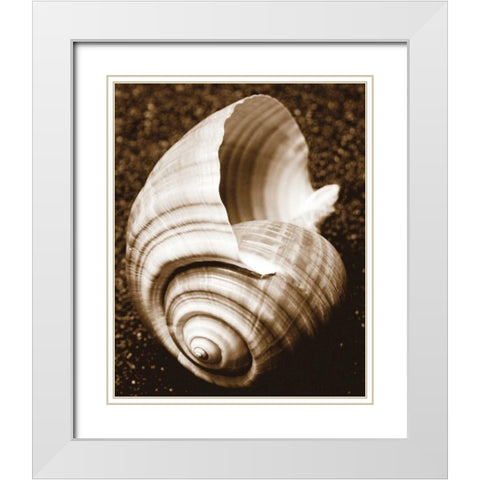 Sea Gallery IV White Modern Wood Framed Art Print with Double Matting by Maihara/Watt, Jeff/Boyce