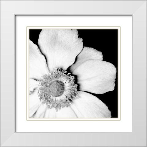 Sunburst IV White Modern Wood Framed Art Print with Double Matting by Maihara/Watt, Jeff/Boyce