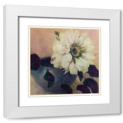Natures Blossoms I White Modern Wood Framed Art Print with Double Matting by Friedman, Susan