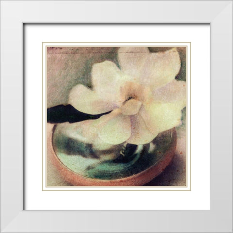 Natures Blossoms III White Modern Wood Framed Art Print with Double Matting by Friedman, Susan