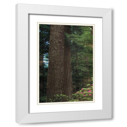 Rise n Shine I White Modern Wood Framed Art Print with Double Matting by Frates, Dennis