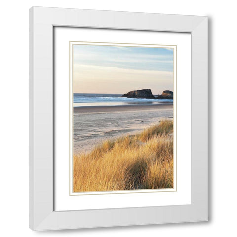 Dune Grass and Beach I White Modern Wood Framed Art Print with Double Matting by Frates, Dennis