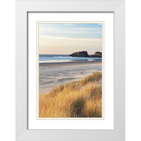 Dune Grass and Beach I White Modern Wood Framed Art Print with Double Matting by Frates, Dennis
