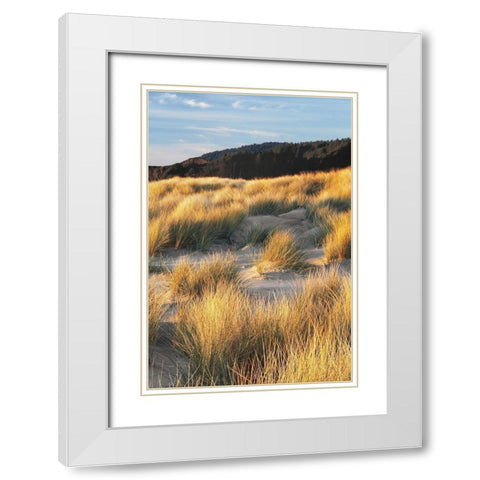 Dune Grass and Beach III White Modern Wood Framed Art Print with Double Matting by Frates, Dennis
