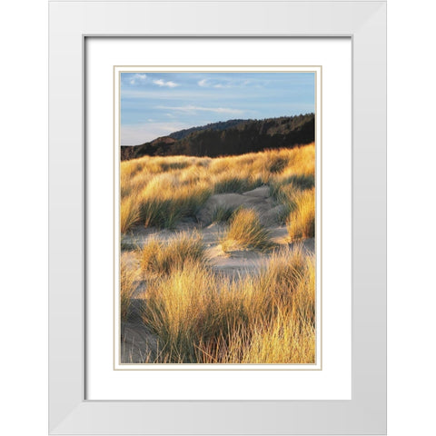 Dune Grass and Beach III White Modern Wood Framed Art Print with Double Matting by Frates, Dennis