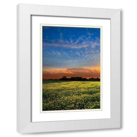 Shadows at Sunset I White Modern Wood Framed Art Print with Double Matting by Celebrate Life Gallery