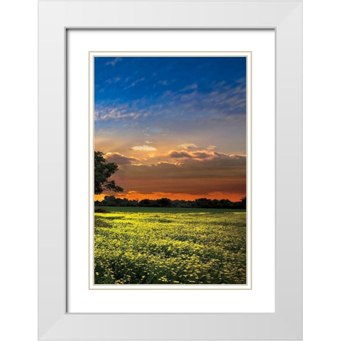 Shadows at Sunset III White Modern Wood Framed Art Print with Double Matting by Celebrate Life Gallery