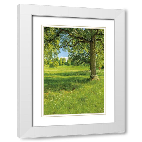 Greenest Pastures I White Modern Wood Framed Art Print with Double Matting by Frank, Assaf