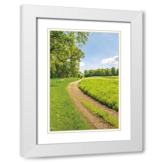 Perspective Image