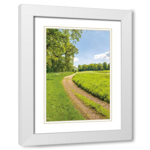 Greenest Pastures II White Modern Wood Framed Art Print with Double Matting by Frank, Assaf