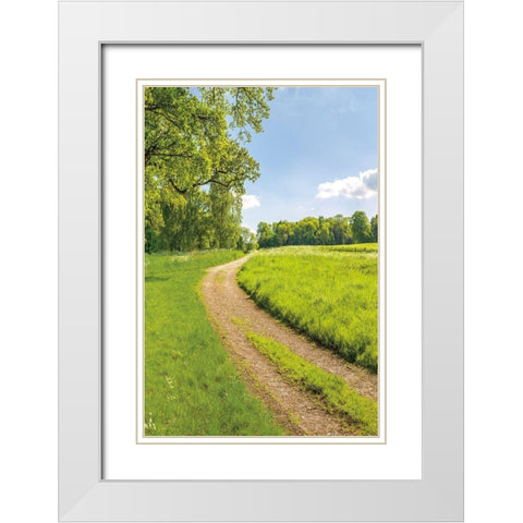 Greenest Pastures II White Modern Wood Framed Art Print with Double Matting by Frank, Assaf