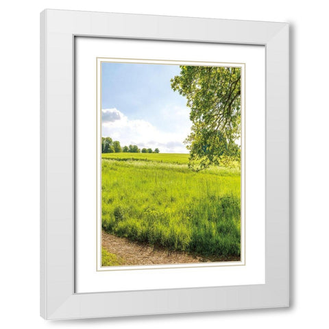Greenest Pastures III White Modern Wood Framed Art Print with Double Matting by Frank, Assaf