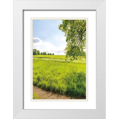 Greenest Pastures III White Modern Wood Framed Art Print with Double Matting by Frank, Assaf