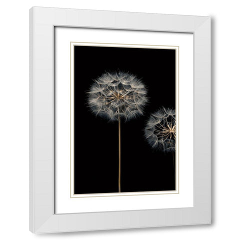 Make A Wish I White Modern Wood Framed Art Print with Double Matting by Frank, Assaf