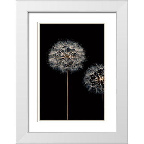Make A Wish I White Modern Wood Framed Art Print with Double Matting by Frank, Assaf