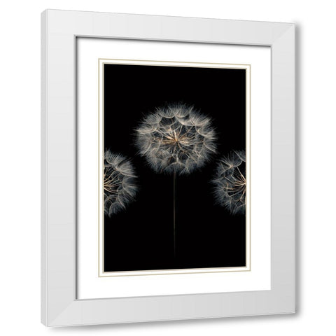 Make A Wish II White Modern Wood Framed Art Print with Double Matting by Frank, Assaf