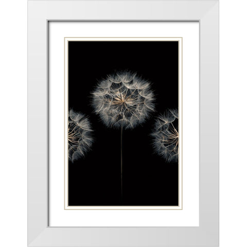 Make A Wish II White Modern Wood Framed Art Print with Double Matting by Frank, Assaf