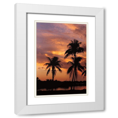 Tropical Sunsets A White Modern Wood Framed Art Print with Double Matting by Jones, Mike
