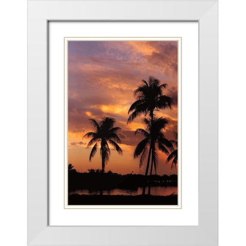 Tropical Sunsets A White Modern Wood Framed Art Print with Double Matting by Jones, Mike