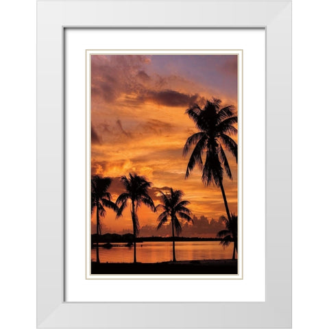 Tropical Sunsets B White Modern Wood Framed Art Print with Double Matting by Jones, Mike