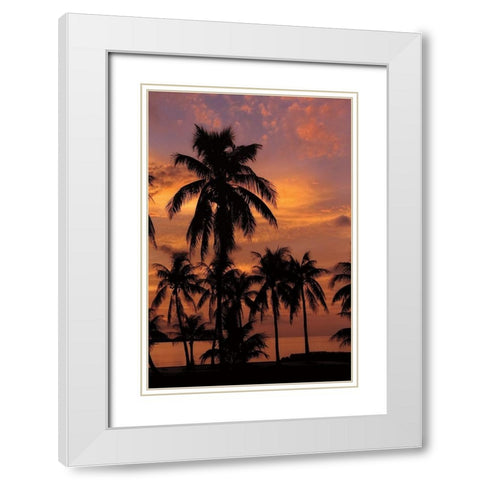 Tropical Sunsets C White Modern Wood Framed Art Print with Double Matting by Jones, Mike