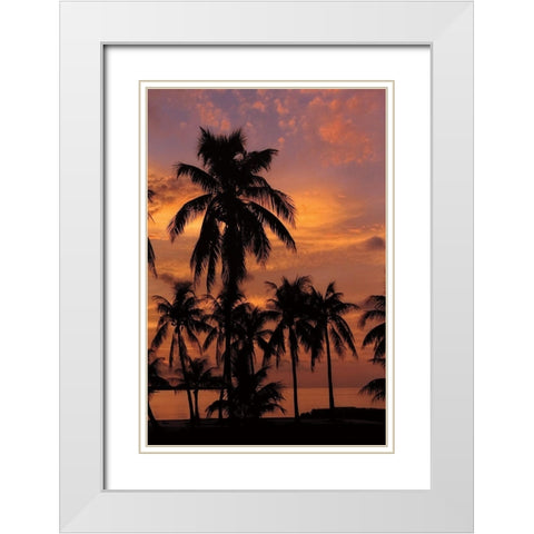 Tropical Sunsets C White Modern Wood Framed Art Print with Double Matting by Jones, Mike