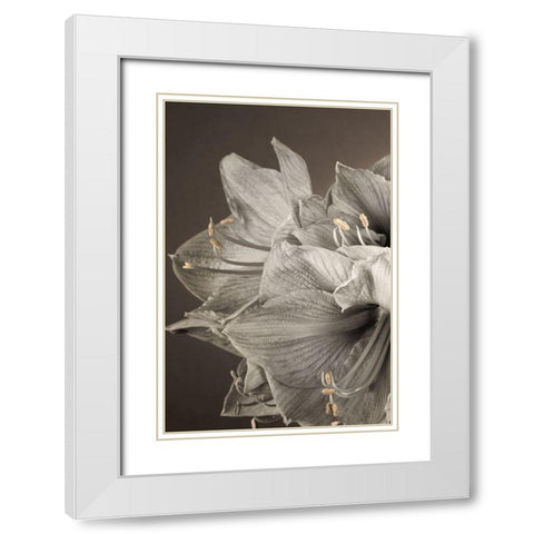Grand Floral I White Modern Wood Framed Art Print with Double Matting by Frank, Assaf