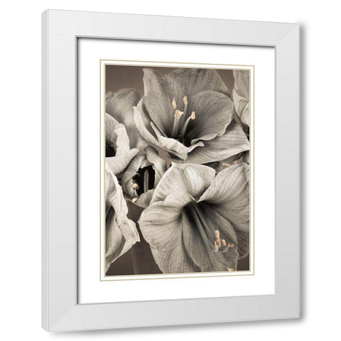 Grand Floral II White Modern Wood Framed Art Print with Double Matting by Frank, Assaf