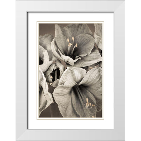 Grand Floral II White Modern Wood Framed Art Print with Double Matting by Frank, Assaf
