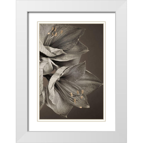 Grand Floral III White Modern Wood Framed Art Print with Double Matting by Frank, Assaf